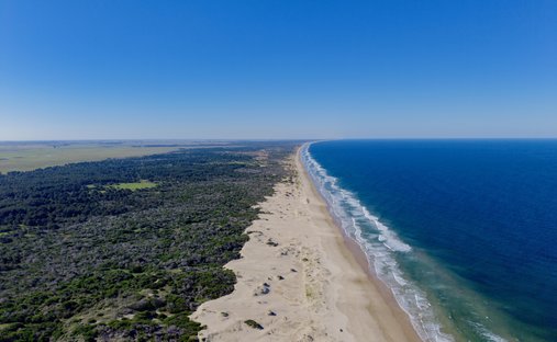 Azienda agricola a Palmares de la Coronilla, Dipartimento di Rocha, Uruguay 1