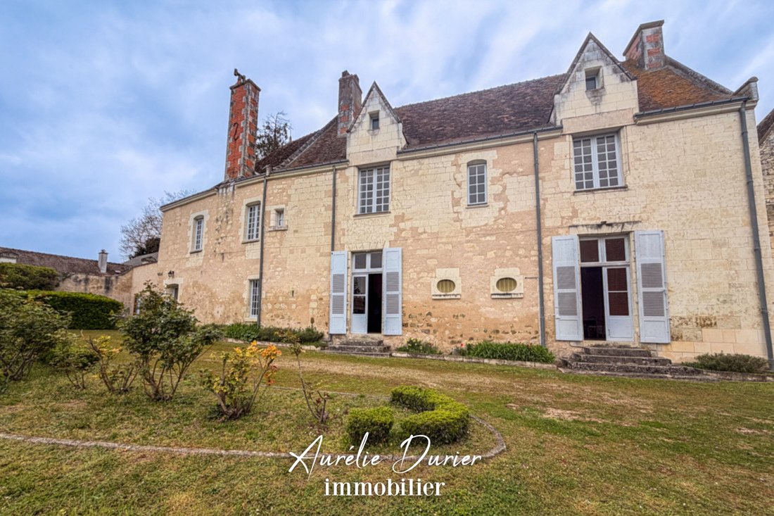 Castle in Grammont, Tours, France 2 - 18008814