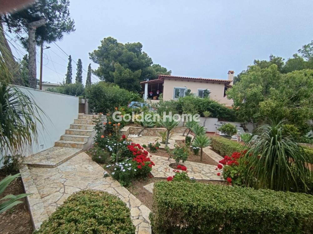 House in Selinia Salamis, Ampelakia Municipal Unit, Greece 4 - 18006185