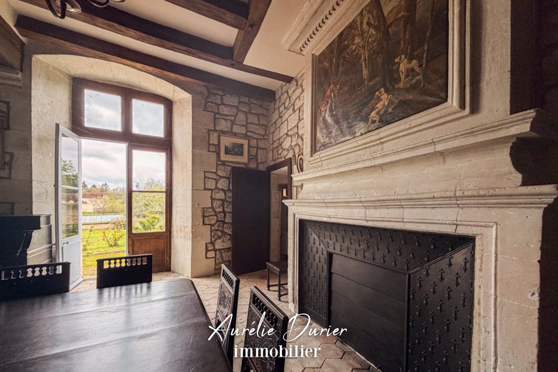 Castle in Grammont, Tours, France 5 - 18008814