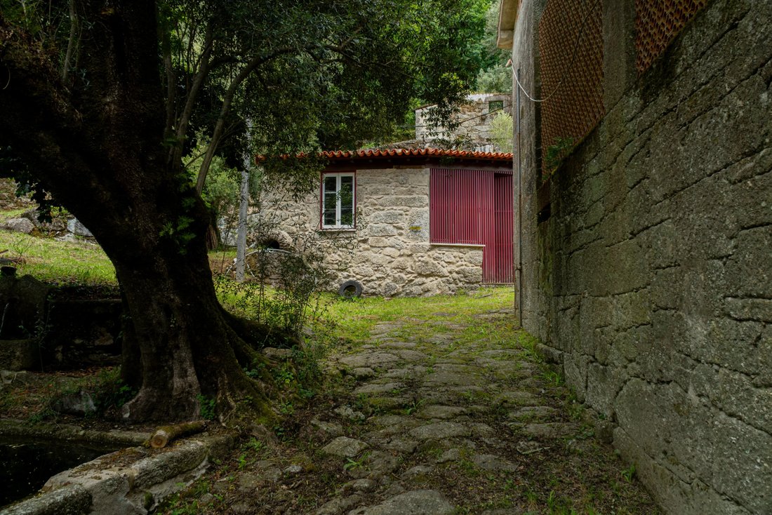 Farm Ranch in Valbom (Sao Pedro), Passo e Valbom (Sao Martinho), Braga, Portugal 4 - 18009979