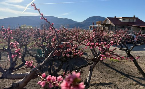 House in Penticton, British Columbia, Canada 1