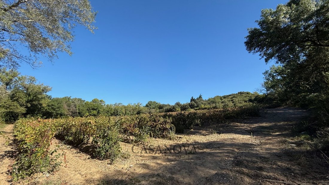 Murviel-les-Beziers, Occitania, France 4 - 18010573