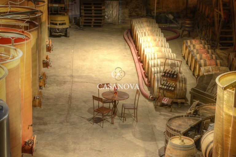 Farm Ranch in Port Marianne, Montpellier, France 4 - 18009950