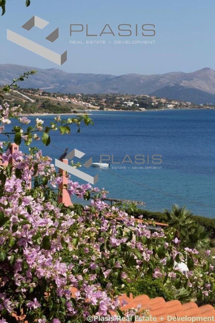 House in Styra Municipal Unit, Thessaly and Central Greece, Greece 1 - 18005728