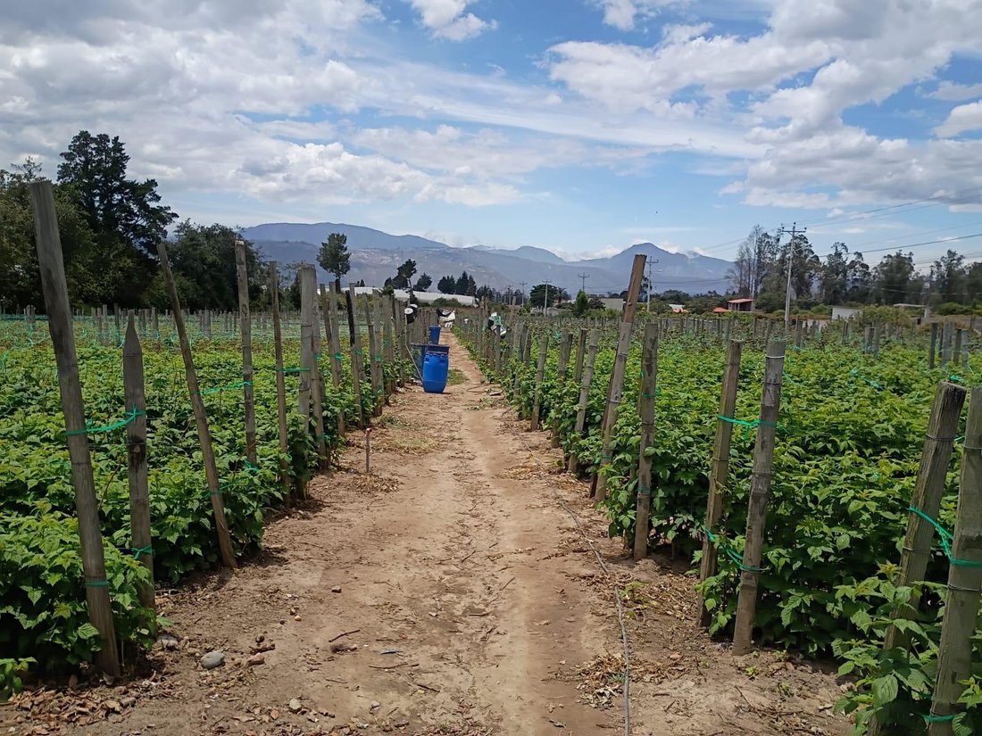 Land in Quito, Pichincha, Ecuador 4 - 18007429