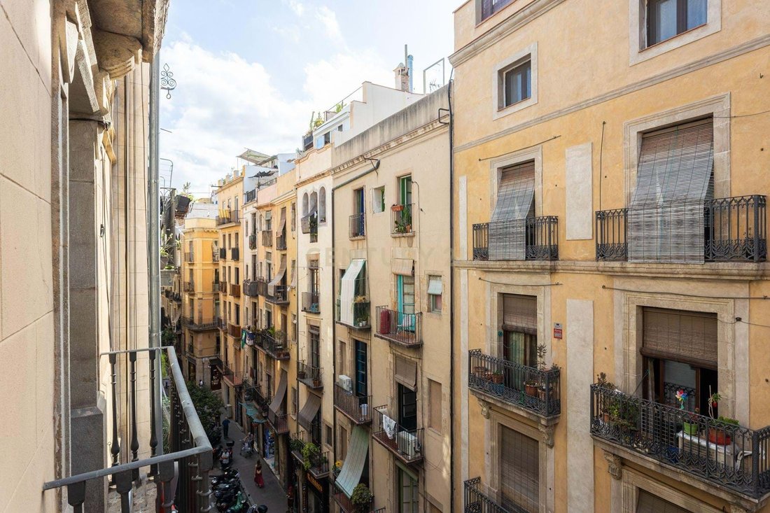Apartment in Ciutat Vella, Barcelona, Spain 5 - 16882288