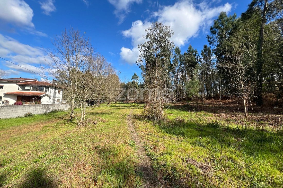Land in Lago, Braga, Portugal 3 - 18011674