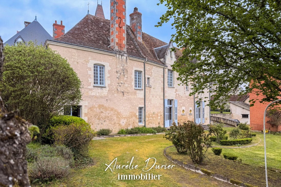 Castle in Grammont, Tours, France 1 - 18008814