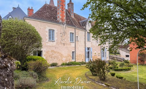 Castello a Tours, Centro, Francia 1