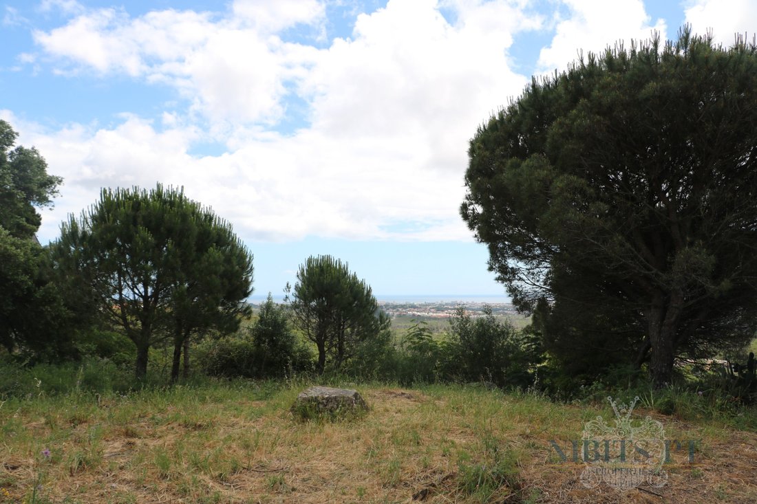 Land in Alcabideche, Lisbon, Portugal 5 - 18010937