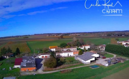 Azienda agricola a Saint-Aubin-de-Blaye, Nuova Aquitania, Francia 1