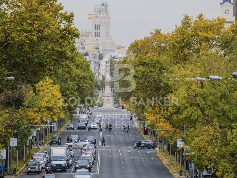 Apartment in Barrio Salamanca, Madrid, Spain 5 - 18011217