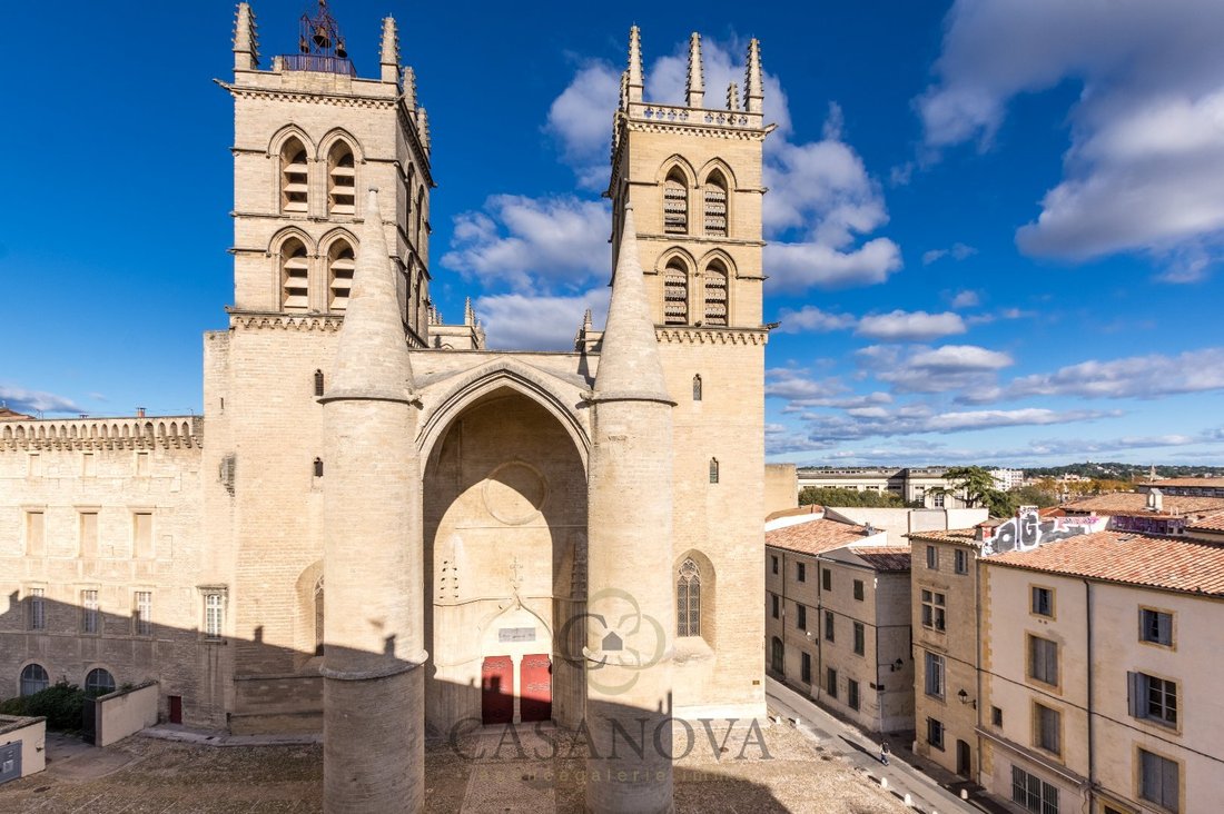 Apartment in Port Marianne, Montpellier, France 2 - 18010589