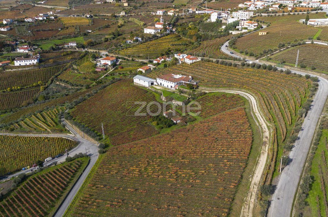 Finca in Fontelas, Vila Real District, Portugal 2 - 18011639