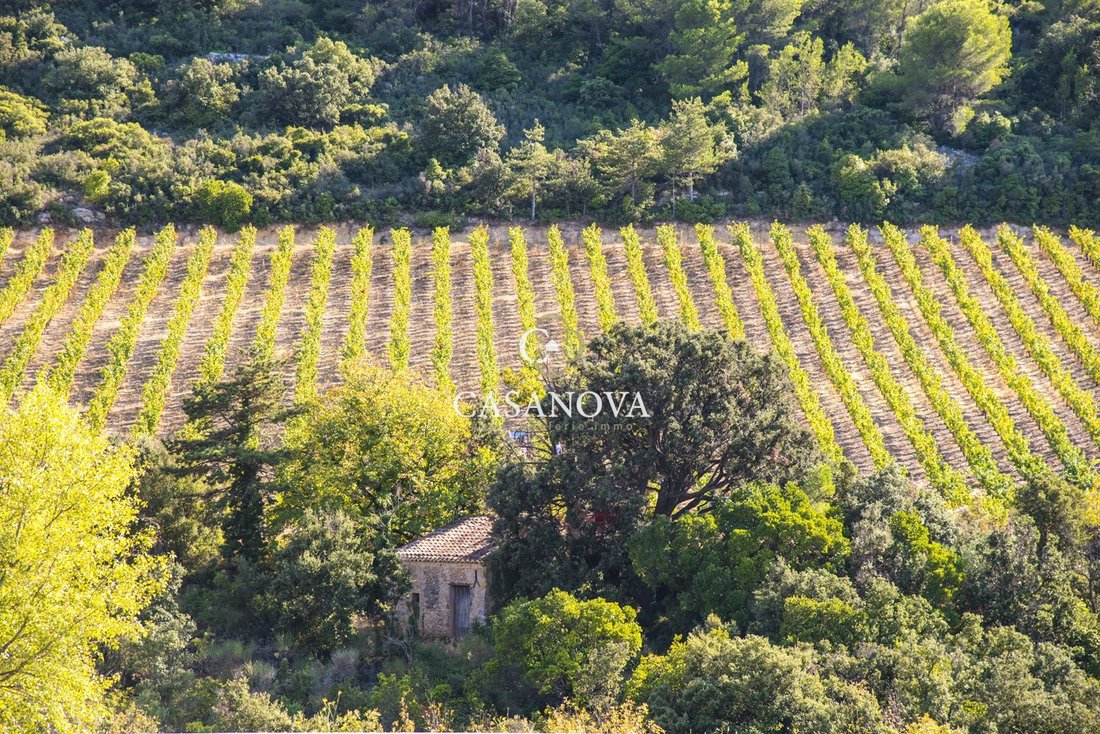 Farm Ranch in Saint-Chinian, Occitania, France 1 - 18009960
