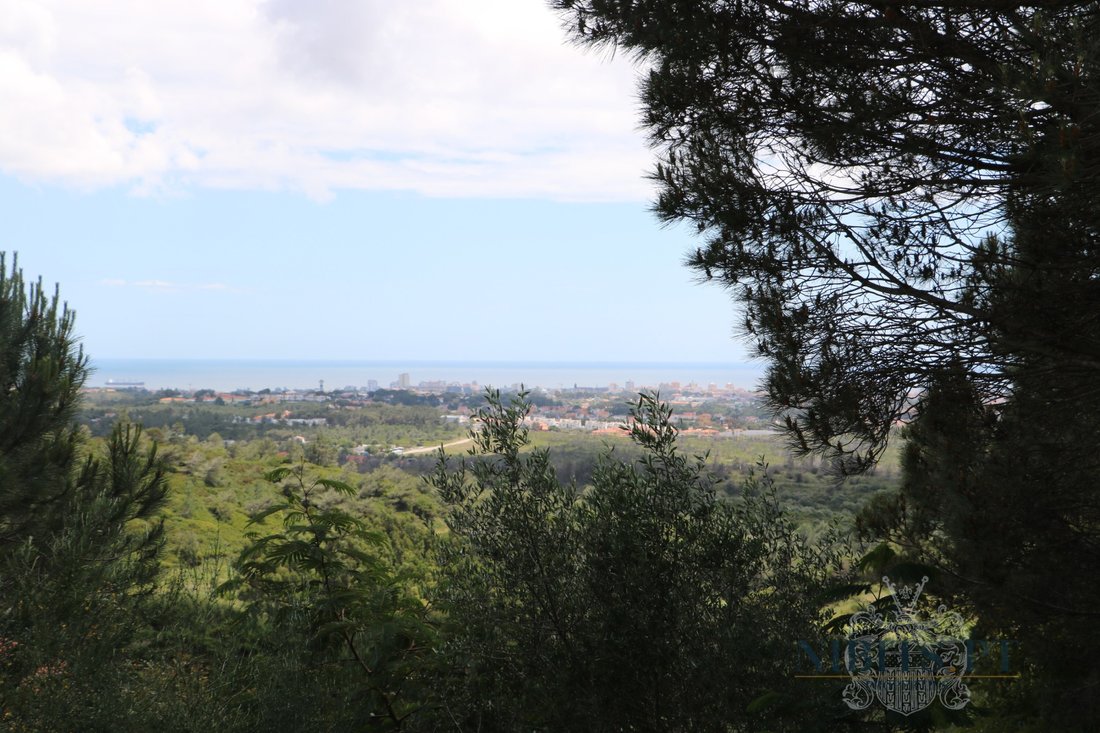 Land in Alcabideche, Lisbon, Portugal 4 - 18010937