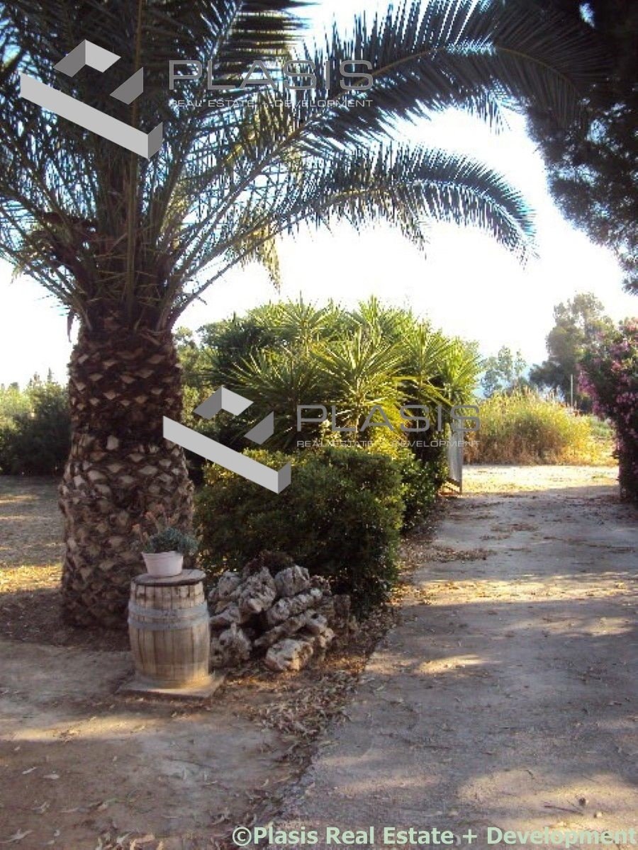House in Marathonas, Attica, Greece 4 - 18005718