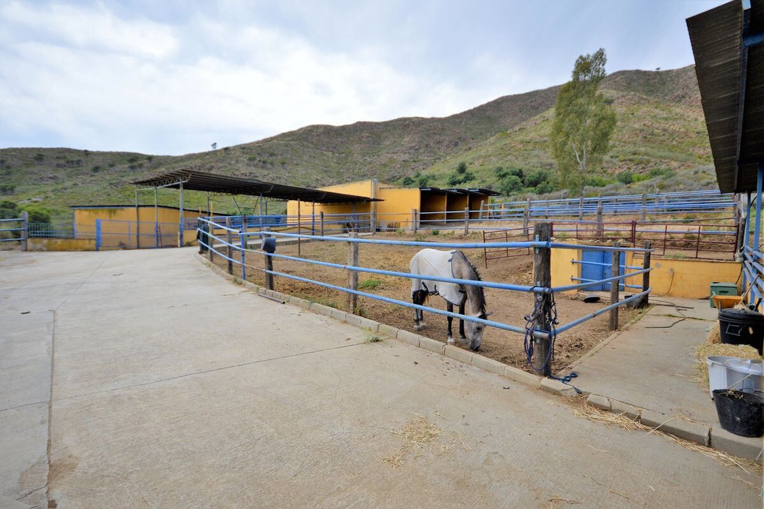 Finca in Mijas, Andalusia, Spain 4 - 18007668
