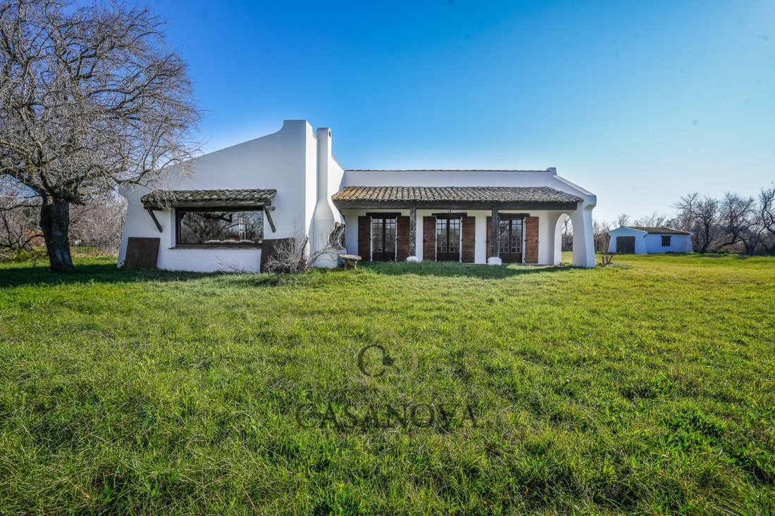 House in Saintes-Maries-de-la-Mer, Provence-Alpes-Côte d'Azur, France 4 - 18010353