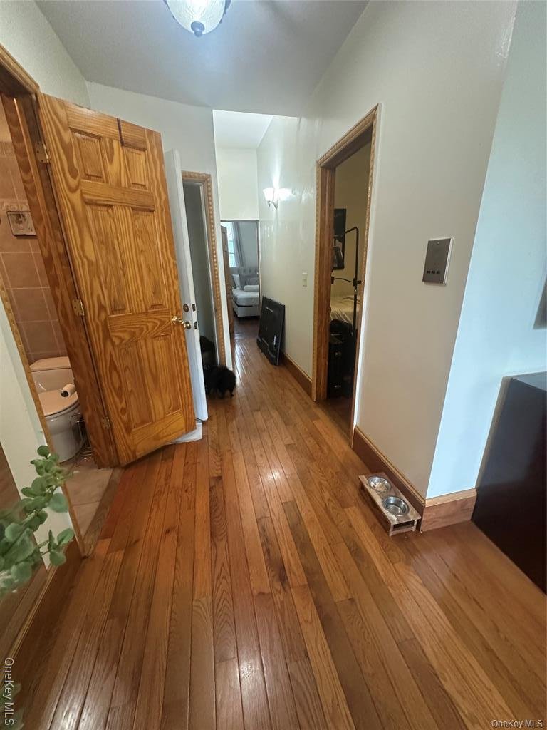 House in New York, New York, United States 3 - 18008449