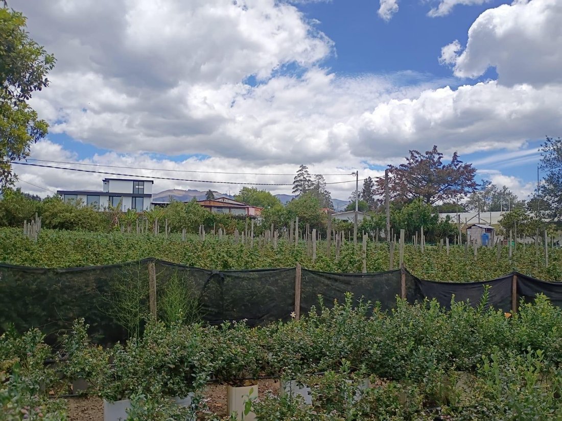 Land in Quito, Pichincha, Ecuador 1 - 18007429