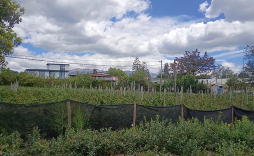 Land in Quito, Pichincha, Ecuador 1