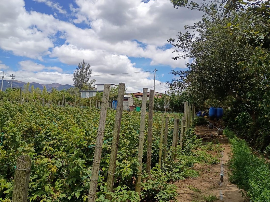 Land in Quito, Pichincha, Ecuador 5 - 18007429