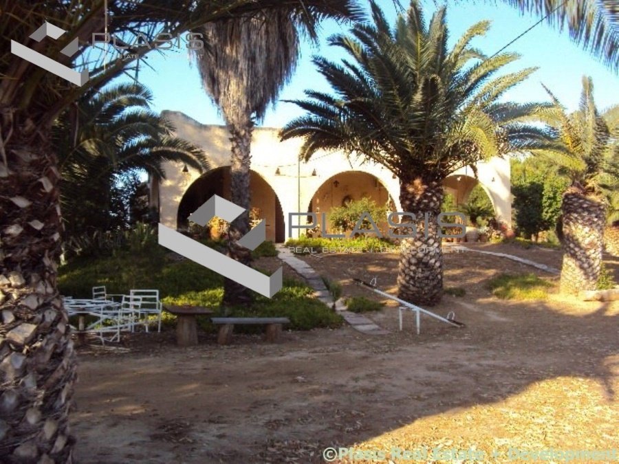 House in Marathonas, Attica, Greece 3 - 18005718