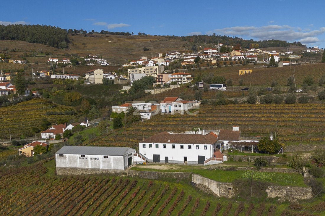 Finca in Fontelas, Vila Real District, Portugal 3 - 18011639
