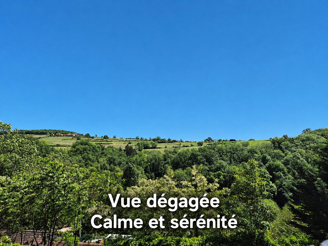 Villa in Saint-Laurent-d'Oingt, Val d'Oingt, France 3 - 18006933