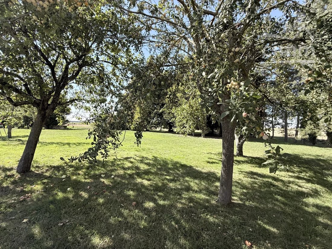 Finca en Tourailles, Centro-Val de Loira, Francia 5 - 18005053