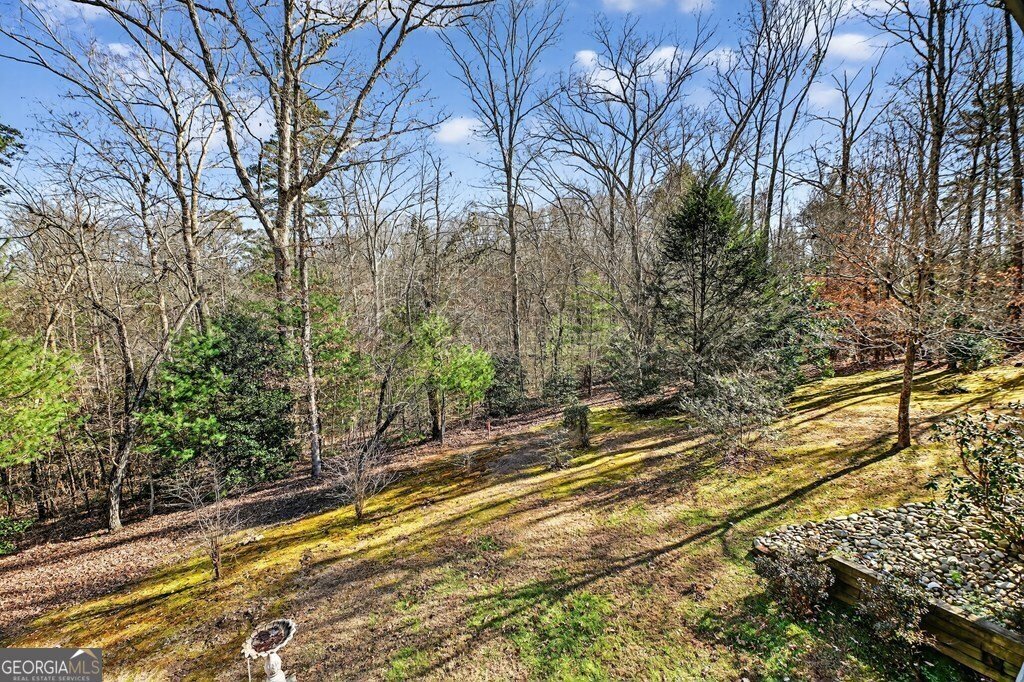 House in Ellijay, Georgia, United States 5 - 18009650