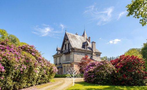 Castle in Saint-Martin-aux-Arbres, Normandy, France 1
