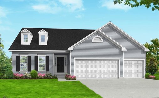 House in Oakville, Missouri, United States 1