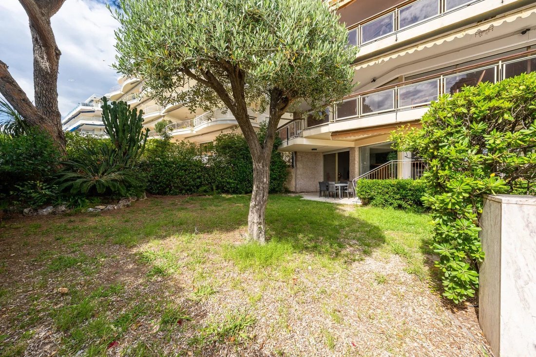 Apartment in Cannes, Provence-Alpes-Côte d'Azur, France 4 - 17802271