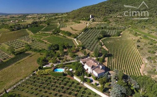 Estate in Saint-Sauveur-de-Cruzières, Auvergne-Rhône-Alpes, France 1