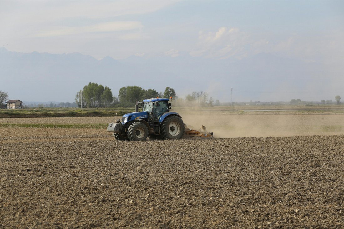 Land in Canaro, Veneto, Italy 2 - 18011129
