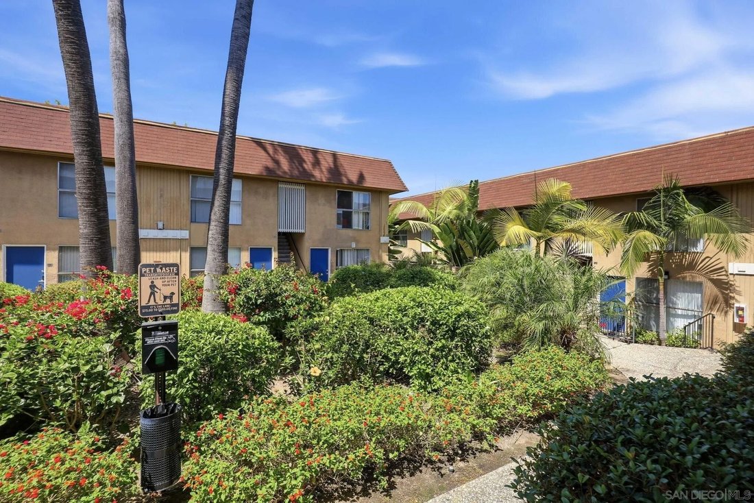San Diego, California, United States 5 - 18008385