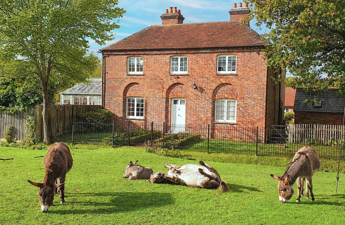 House in New Forest, Lyndhurst, England 1 - 18007914