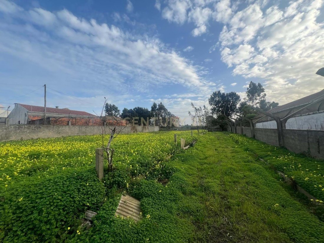 Land in Canelas, Porto District, Portugal 3 - 17488430