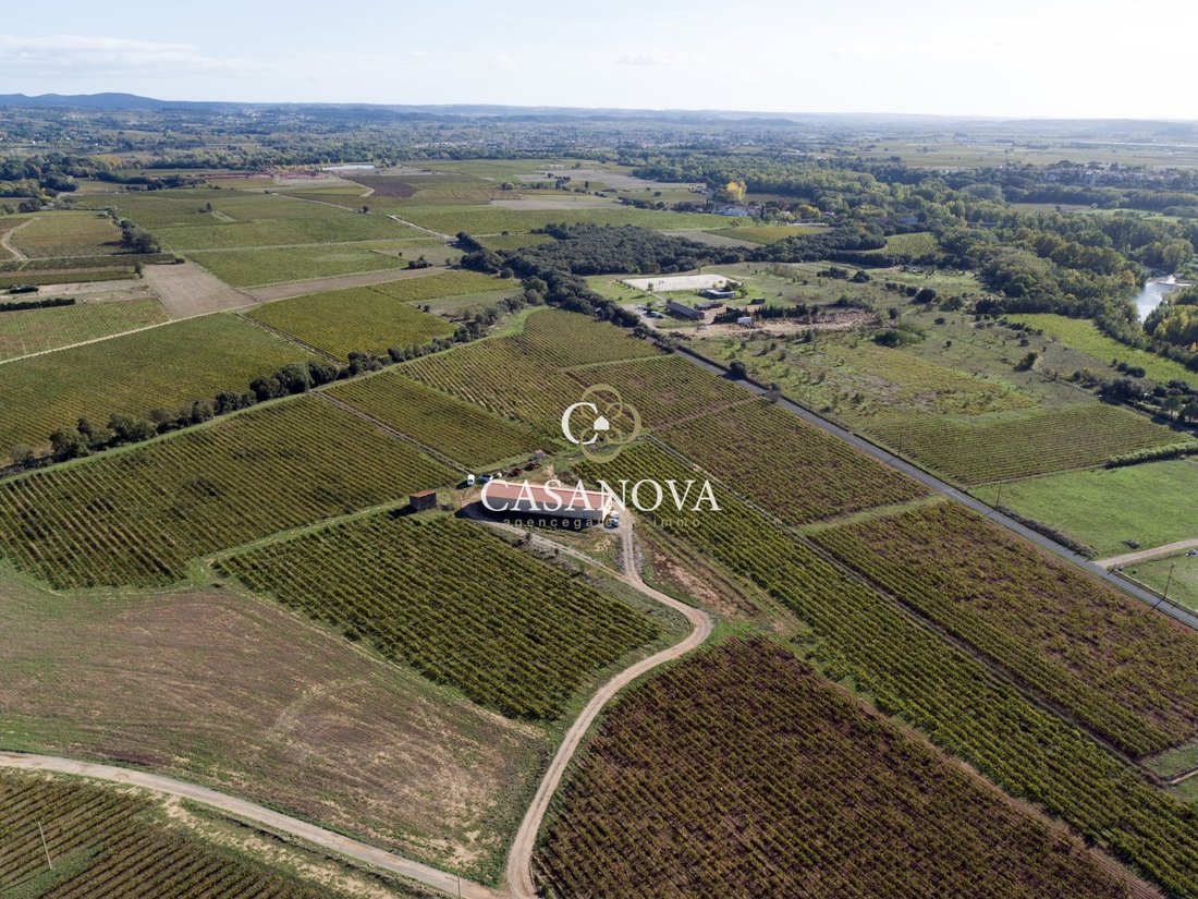 Farm Ranch in Saint-Andre-de-Sangonis, Occitania, France 2 - 18010399