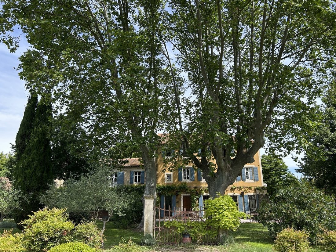 House in Avignon, Provence-Alpes-Côte d'Azur, France 4 - 16012646