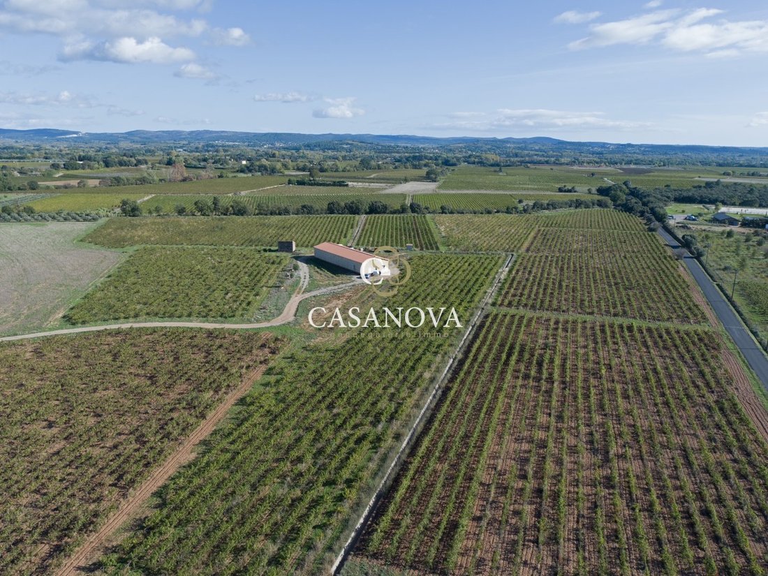 Farm Ranch in Saint-Andre-de-Sangonis, Occitania, France 1 - 18010399