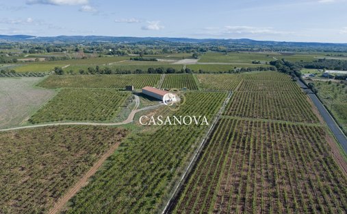 Farm Ranch in Saint-Andre-de-Sangonis, Occitania, France 1