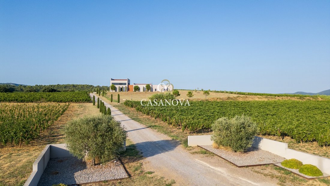 Farm Ranch in Montpeyroux, Occitania, France 4 - 18010550