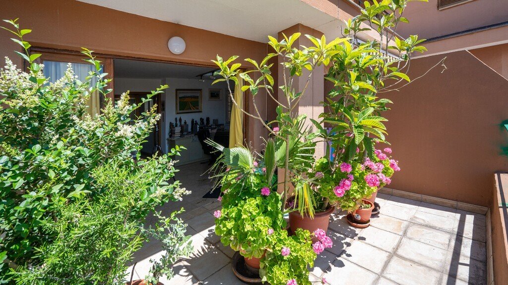 Apartment in Palma, Balearic Islands, Spain 2 - 18010133