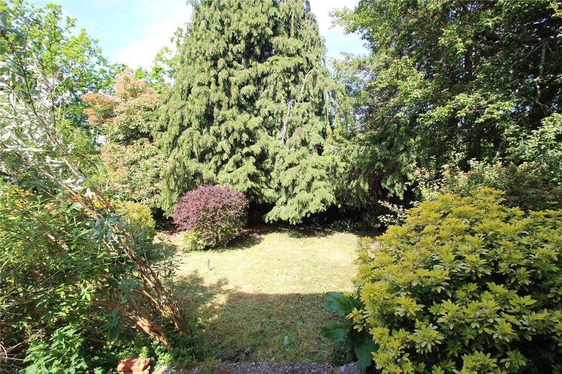 House in Forest Row, England 2 - 18005033