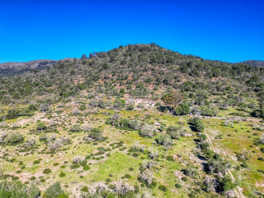 Land in Arta, Balearic Islands, Spain 3 - 18010748