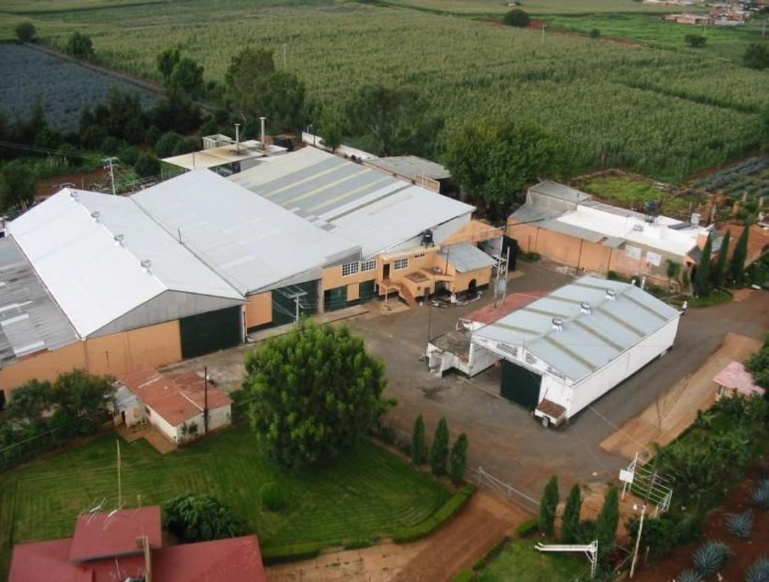 Farm Ranch in Atotonilco El Alto, Jalisco, Mexico 1 - 18006604